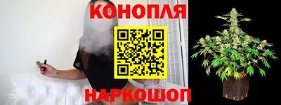 индика Бийск