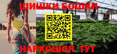 индика Бийск