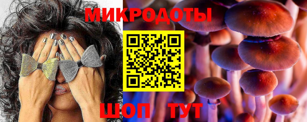 Галлюциногенные грибы MAGIC MUSHROOMS  Псилоцибиновые грибы Cubensis  Асино  Вход с VPN 