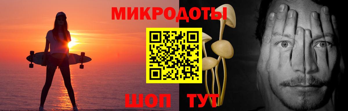 Псилоцибиновые грибы Psilocybine cubensis Асино
